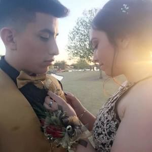 Meet your Posher, Lani